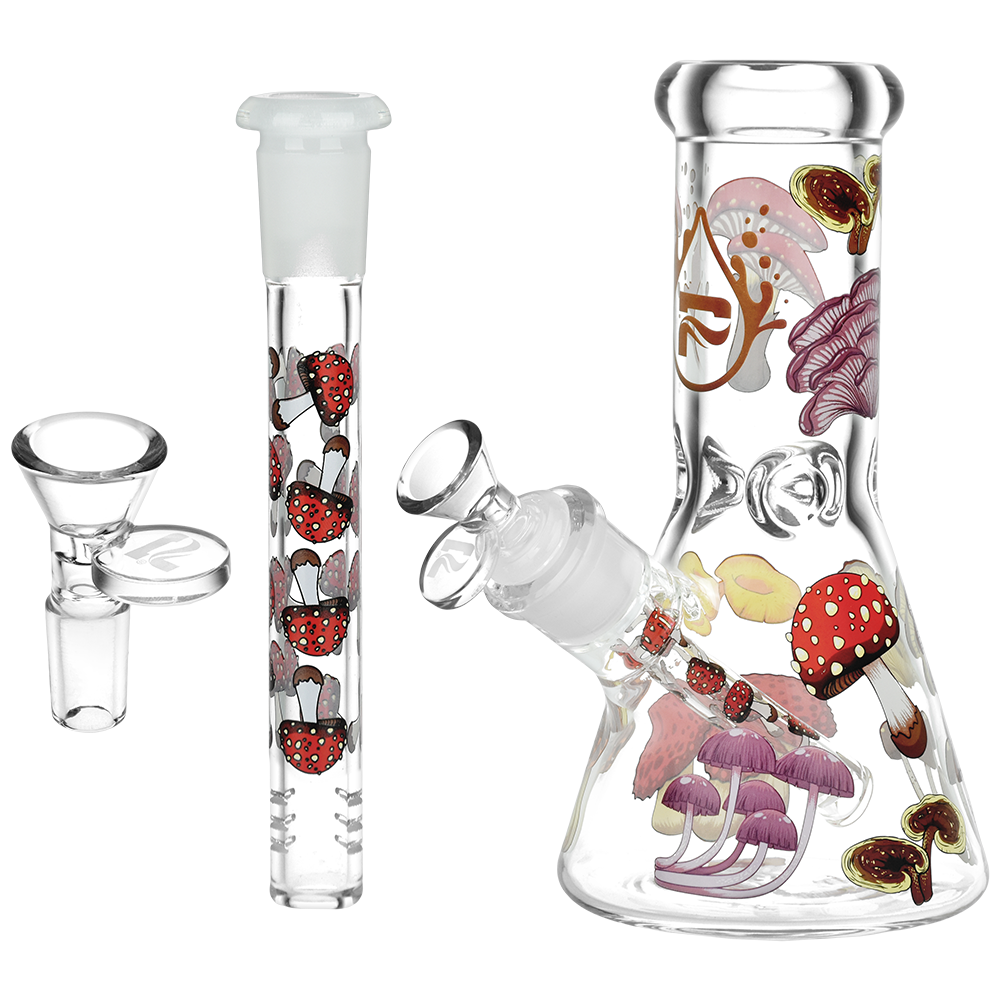 Design Series Glass Beaker Water Pipe | Eat Me | 7.75" | 14mm F – Pulsar